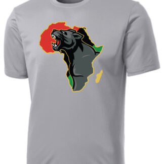 Africa Panther