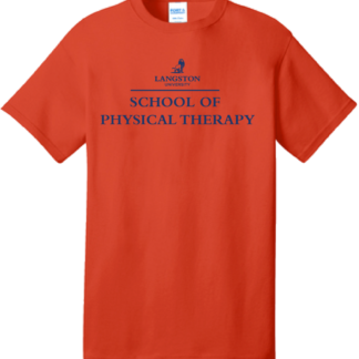 ORANGE T SHIRT