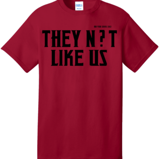 Snip20240819 55