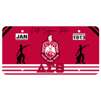 delta license