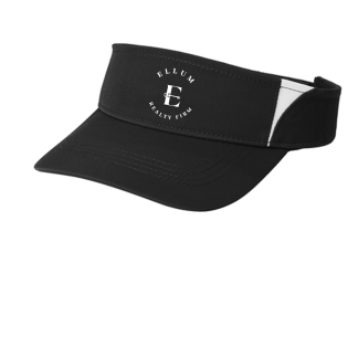 visor2